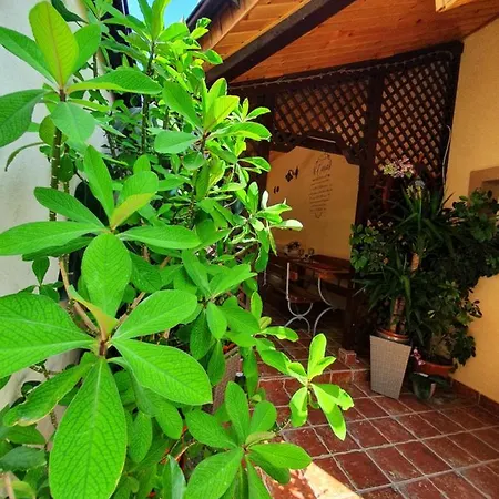 Casa Viselor De Vara Două Mai