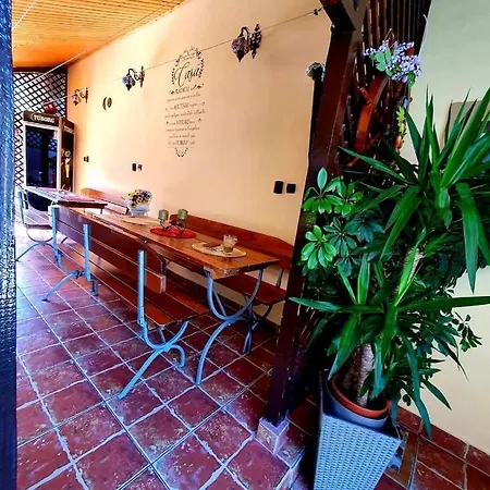 Casa Viselor De Vara Gasthuis *