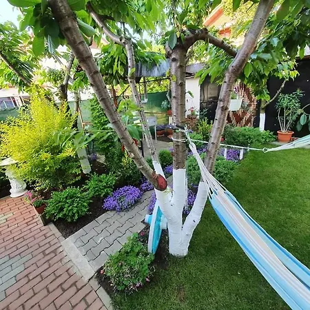 Casa Viselor De Vara Două Mai