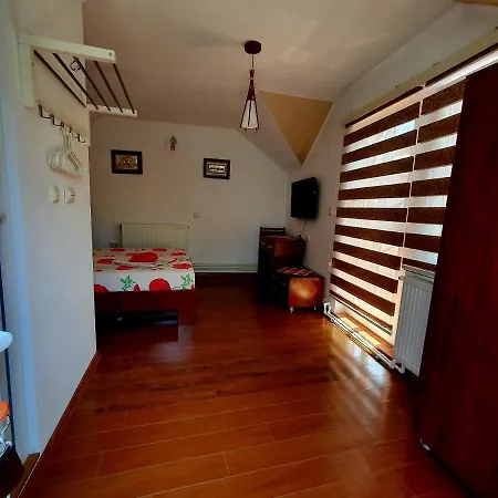 Casa Viselor De Vara Gasthuis Două Mai