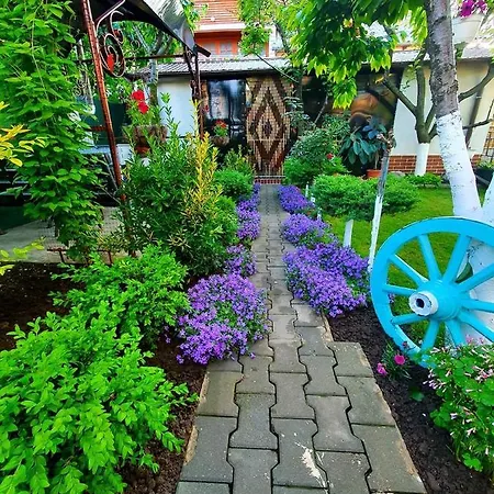 Casa Viselor De Vara Gasthuis Două Mai