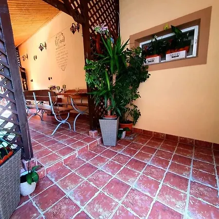 Gasthuis Casa Viselor De Vara Două Mai