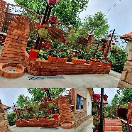 Casa Viselor De Vara