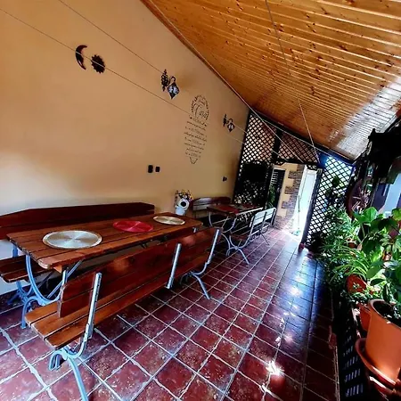 Casa Viselor De Vara Gasthuis *