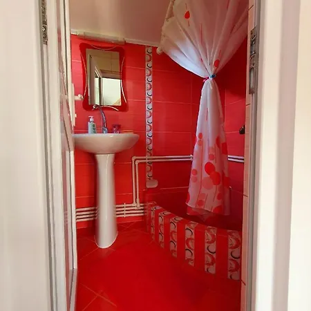 Casa Viselor De Vara Guest house *
