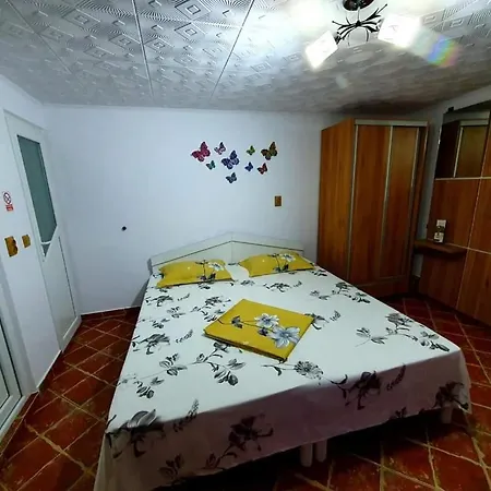 Gasthuis Casa Viselor De Vara Două Mai