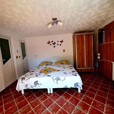 Casa Viselor De Vara Guest house