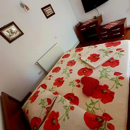 Guest house Casa Viselor De Vara