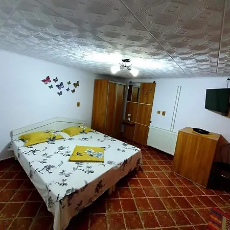 Guest house Casa Viselor De Vara *