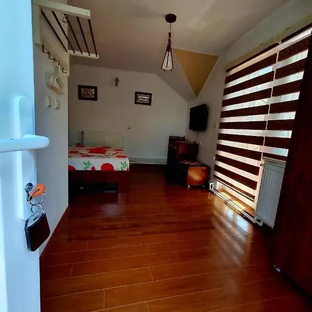 Guest house Casa Viselor De Vara