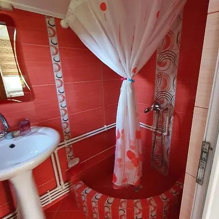 ゲストハウス Casa Viselor De Vara