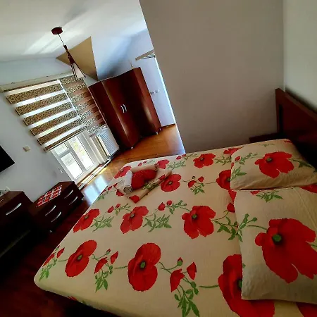 Guest house Casa Viselor De Vara *