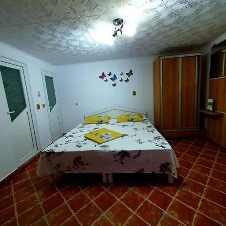 Casa Viselor De Vara