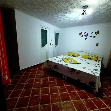 Guest house Casa Viselor De Vara