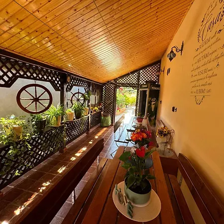 Gasthuis Casa Viselor De Vara Două Mai