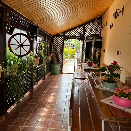 Casa Viselor De Vara * Două Mai