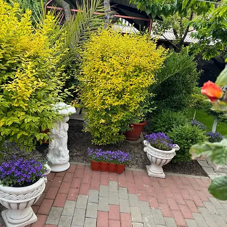 Gasthuis Casa Viselor De Vara Două Mai