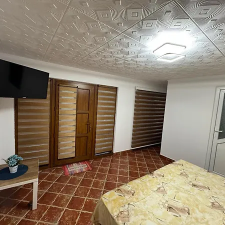 Casa Viselor De Vara ゲストハウス