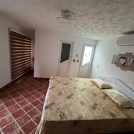 ゲストハウス Casa Viselor De Vara *