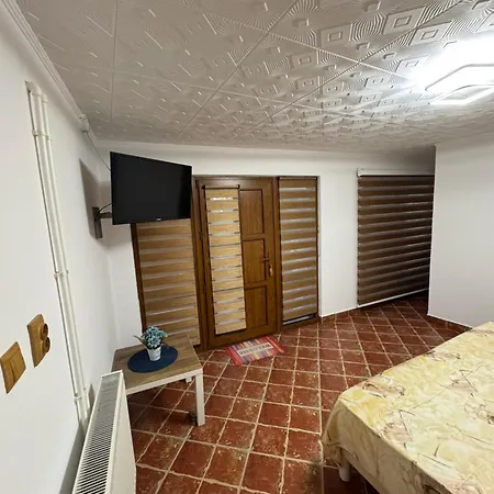 Guest house Casa Viselor De Vara 2 Mai